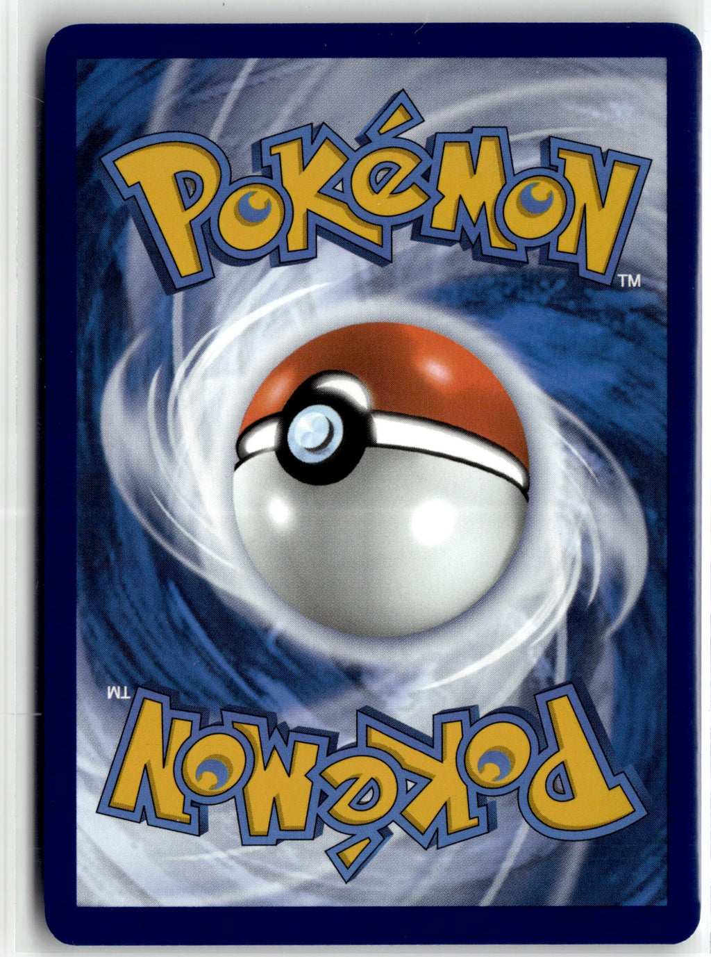 Squirtle (Back)