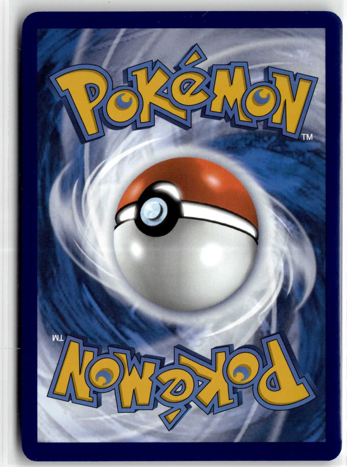Squirtle (Back)