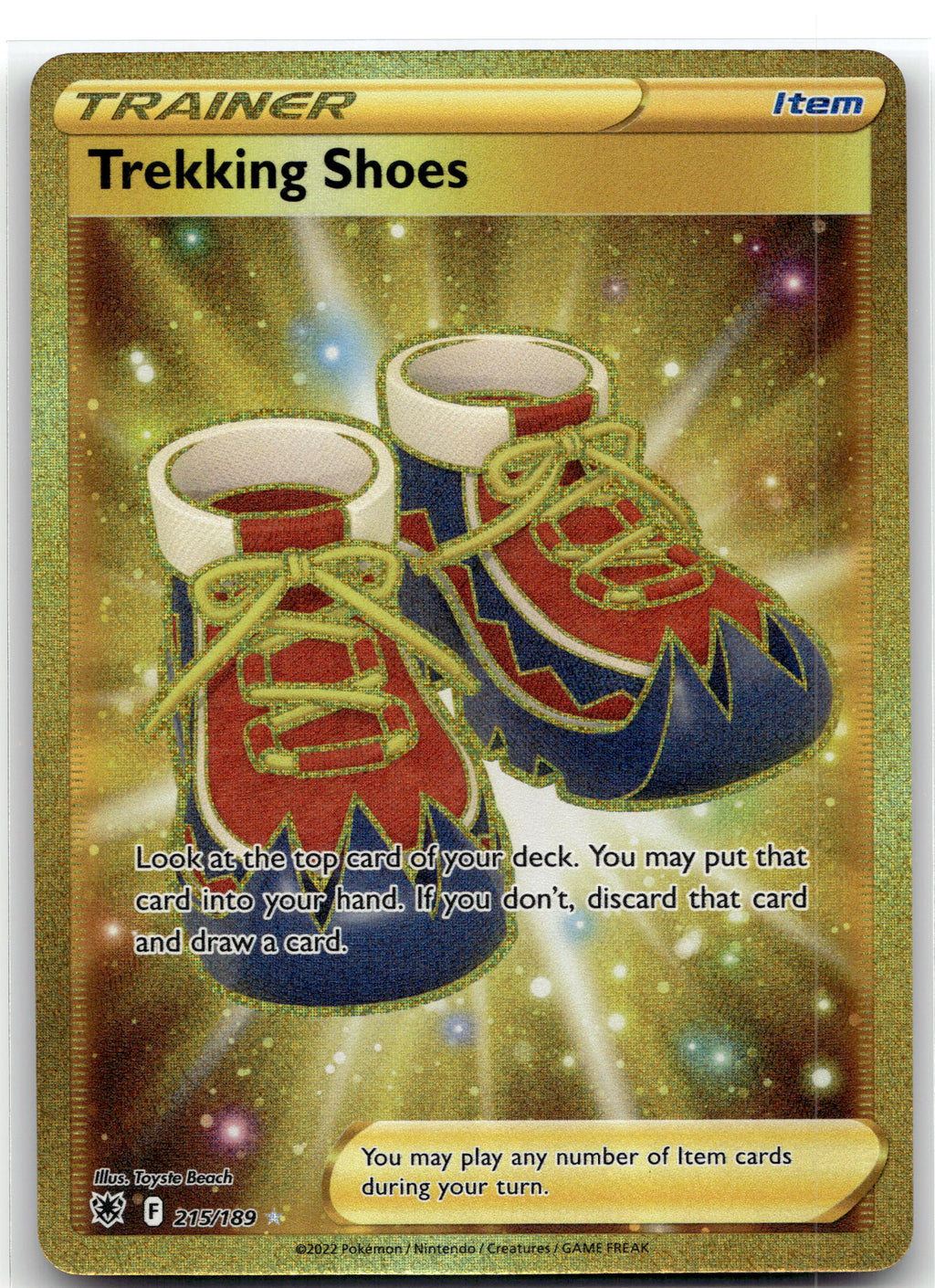 Trekking Shoes (Secret)