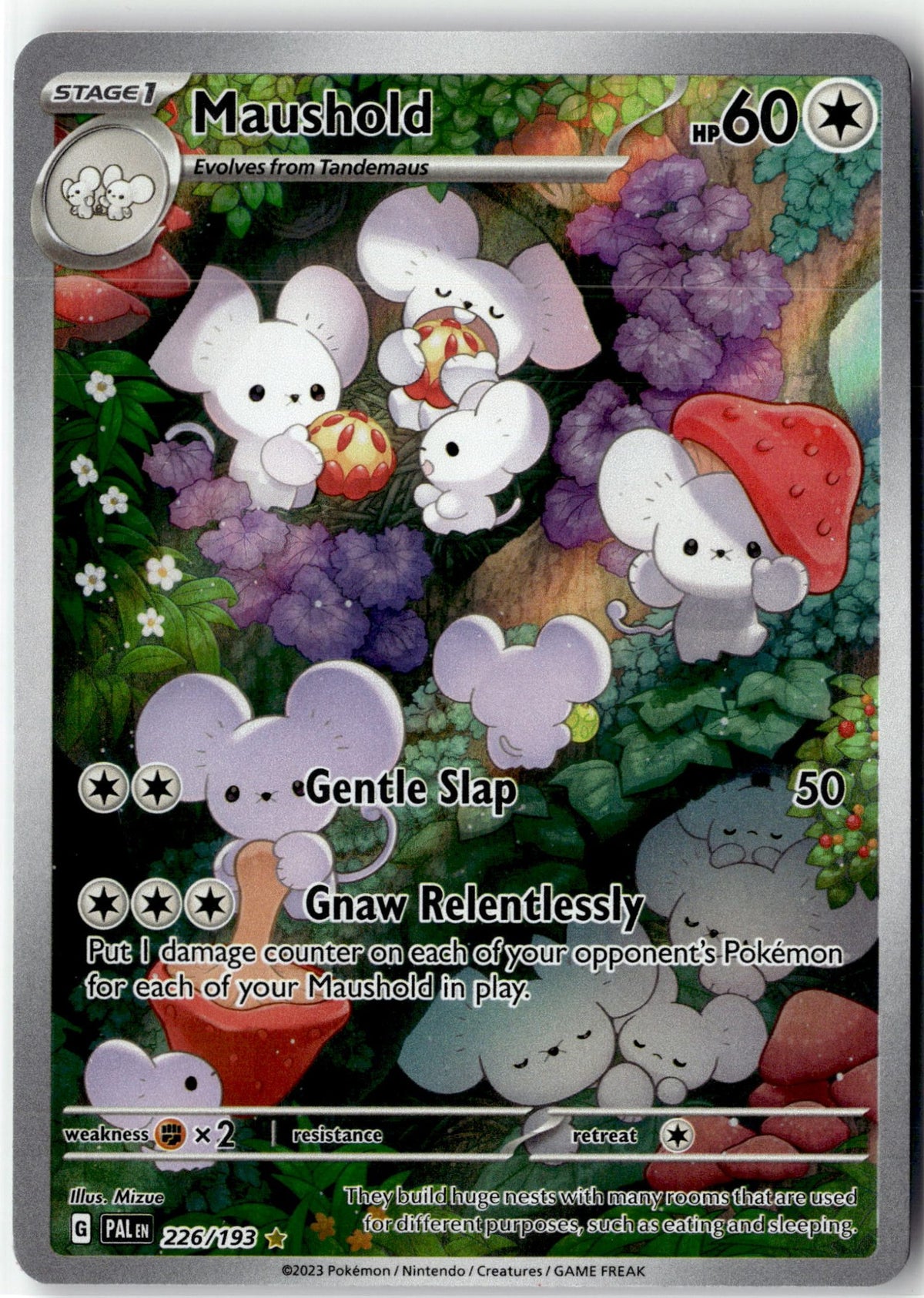 Maushold - 226/193