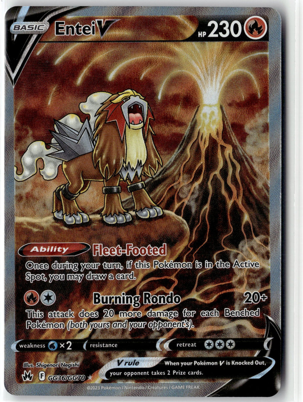 Entei V