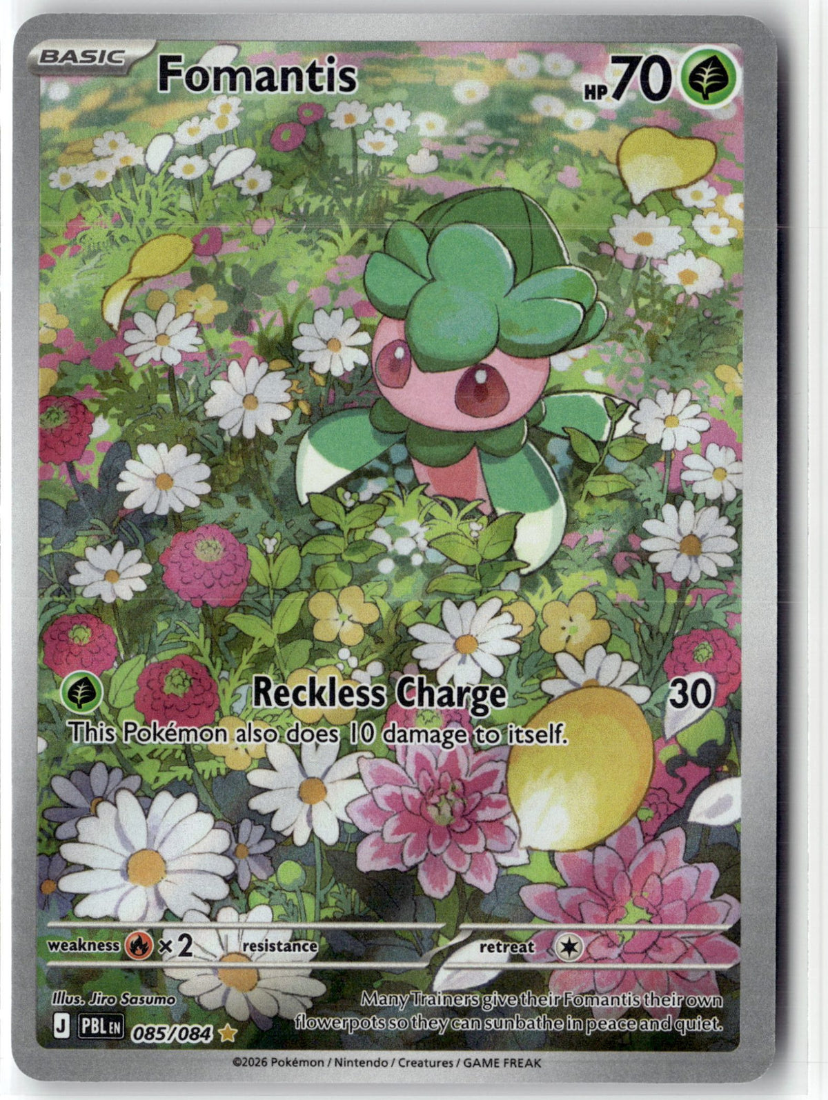 Fomantis - 085/084